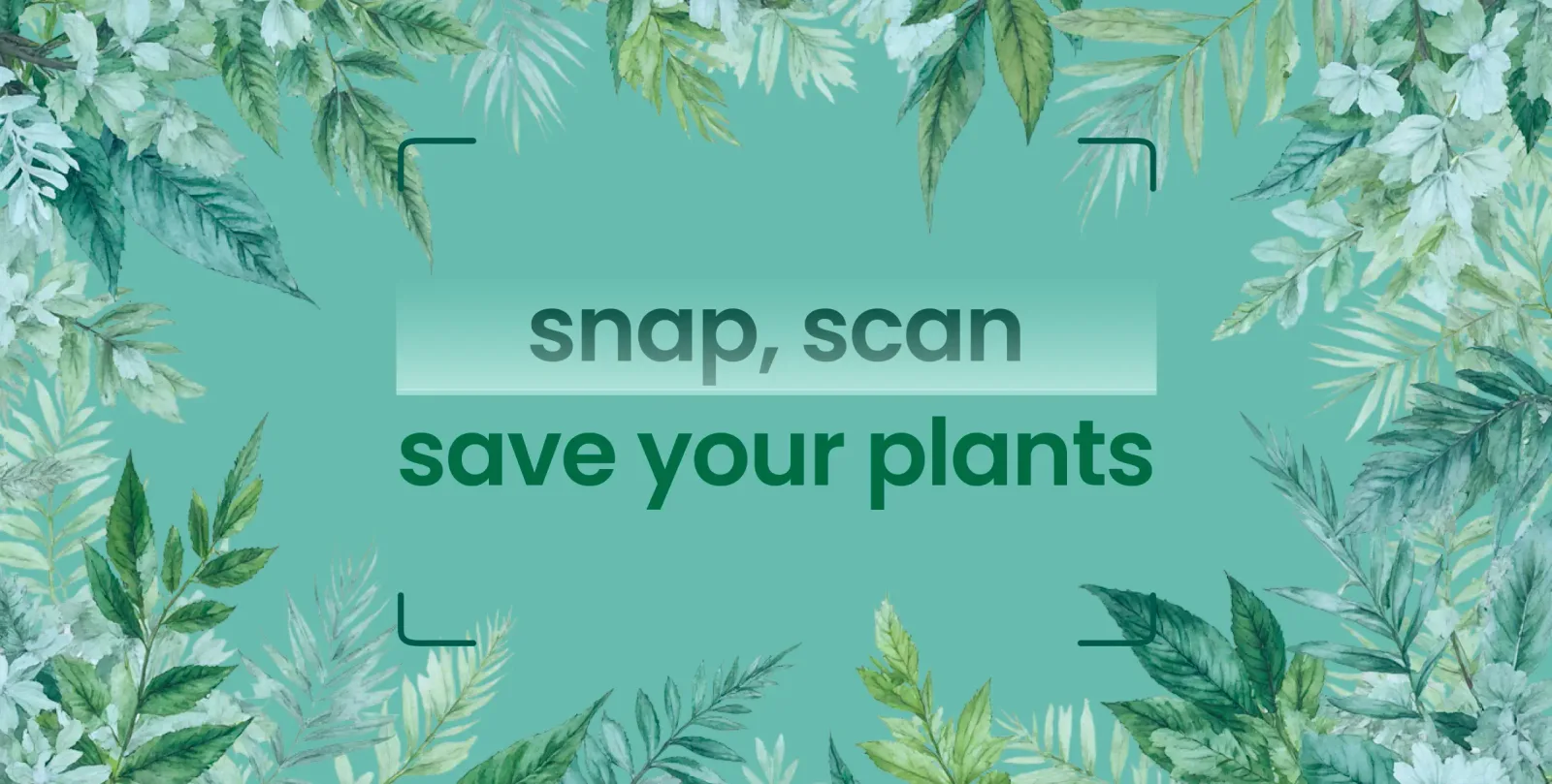 Plant Identifier promotional banner showcasing the plant AI app concept with value proposition for users built by Neon Apps