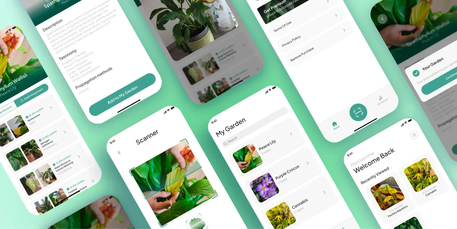 Plant Identifier multiple mobile screens overview showcasing the complete plant AI app experience built by Neon Apps development team